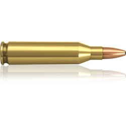 Norma .243 Winchester Oryx 6,5g