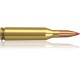 Norma .243 Winchester V-Max 4,9g