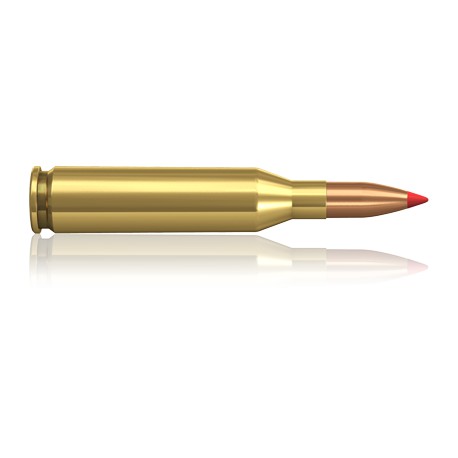 Norma .243 Winchester V-Max 4,9g