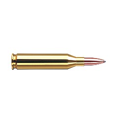 RWS .243 Winchester TMS 6,5g