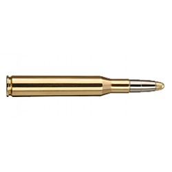 RWS .270 Winchester EVO 10g