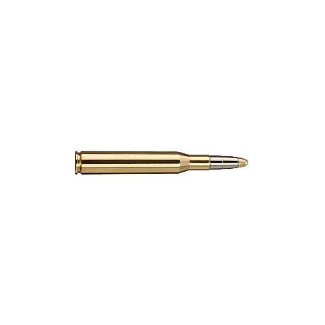 RWS .270 Winchester EVO 10g