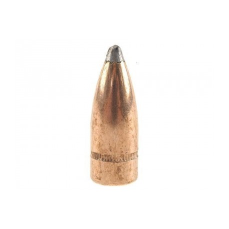 Hornady SP 7,62mm 123grs