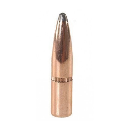 Hornady InterLock SP 7,62mm 165grs