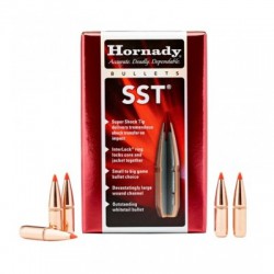 Hornady SST 7,62mm 180grs