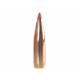 Hornady InterBond 6,9mm 130grs