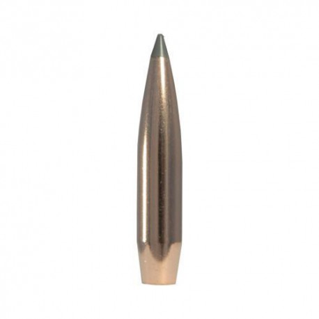 Nosler AccuBond LR 7mm 175grs