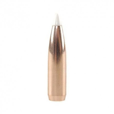 Nosler AccuBond 7mm 140grs