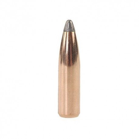 Nosler Partition 6mm 95grs