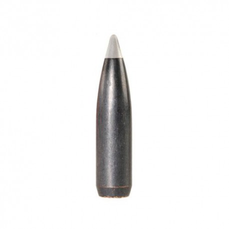 Nosler CT Partition Gold Moly Free 7mm 160grs